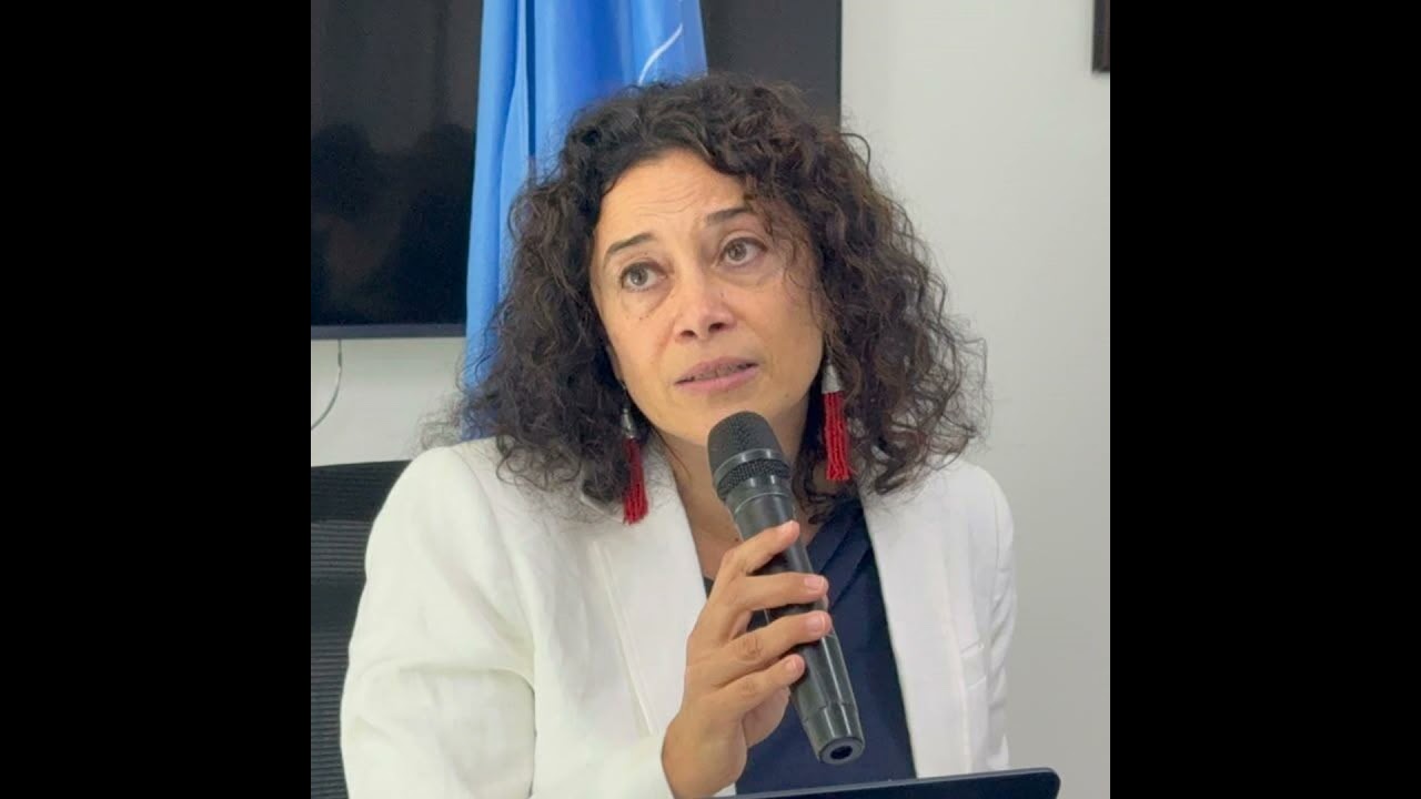 Ação pelo clima exige respeito aos direitos humanos, diz perita em Maputo