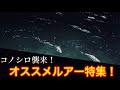 【シーバスルアー】緊急収録！東京湾全域でコノシロ接岸中！オススメルアー紹介！