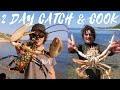 FORAGING IN THE UK FOR LOBSTERS & CRABS | PRAWNS | FISHING - CAMPING CATCH & COOK WITH TAOUTDOORS