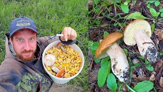 видео: ОГО! НАШЁЛ НЕТРОНУТЫЙ ЛЕС, а ТАМ ГРИБОВ просто КОВЁР! Белые грибы, лисички, опята в июне! Грибы 2023 картинка: ОГО! НАШЁЛ НЕТРОНУТЫЙ ЛЕС, а ТАМ ГРИБОВ просто КОВЁР! Белые грибы, лисички, опята в июне! Грибы 2023