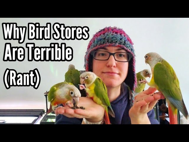 Why I Hate Bird Stores | Rant class=