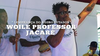 WOILE PROFESSOR JACARÉ 