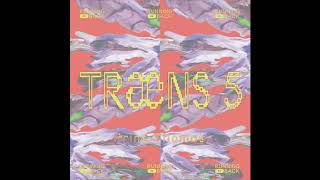 Prins Thomas - Traæns 5