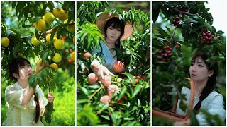 Beautiful Nature with Rural Life - Fresh fruits in peaceful countryside