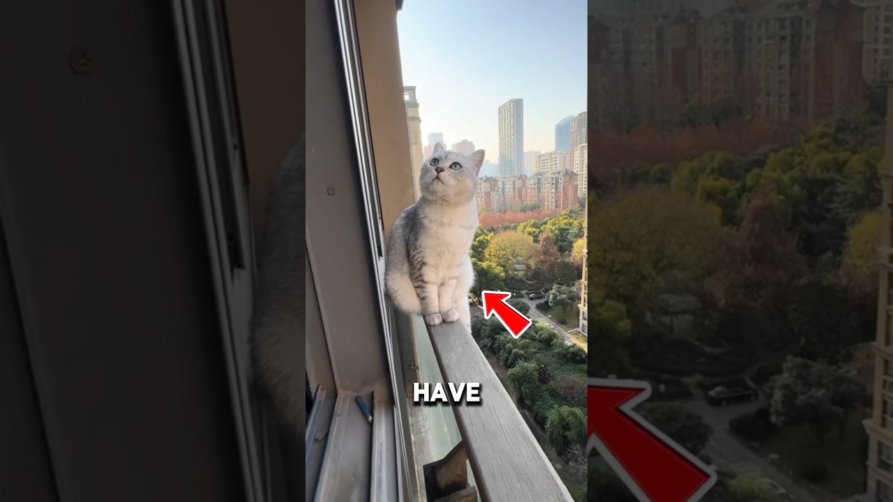 Самая неожиданная позиция