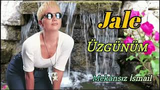 Jale - Üzgünüm