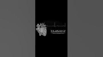 القران الكريم _ سورة الرعد _ القارئ عبدالرحمن مسعد _ تلاوة خاشعة جميلة جدا 😌❤️ _ حالات واتس اب