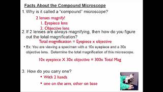SCI7/8 - Using the compound microscope