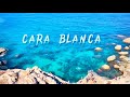 Cara blanca       