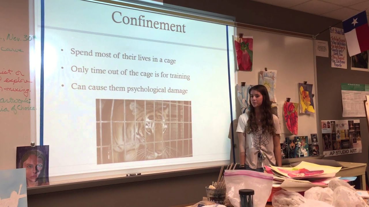 😍 Animal cruelty informative speech. Informative Speech Outline: Animal