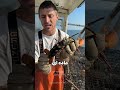چرا بعضی خرچنگ ها بعد از صید دوباره آزاد می شن راز قانون عجیب دریا Credit Jacobknowles5421 