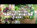 【ｸﾞﾚｲｽｵﾌﾞｶﾞｰﾃﾞﾝ】季節のお花で寄せ植え特集【秋冬編】