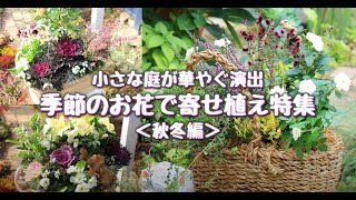 【ｸﾞﾚｲｽｵﾌﾞｶﾞｰﾃﾞﾝ】季節のお花で寄せ植え特集【秋冬編】