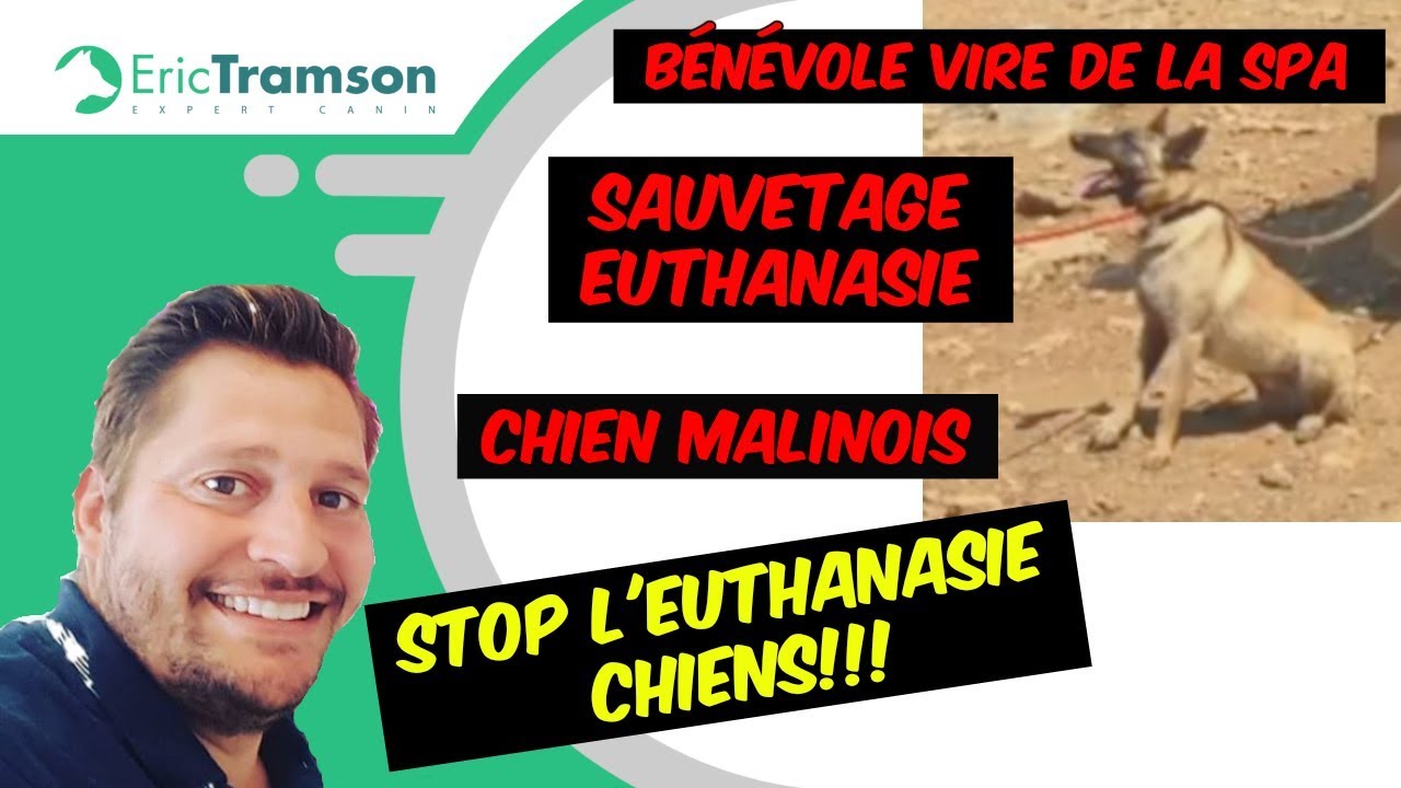 BENEVOLE VIRE DE LA SPA/ SAUVETAGE EUTHANASIE/ERIC TRAMSON EDUCATEUR CANIN CHIEN MORDEUR - YouTube