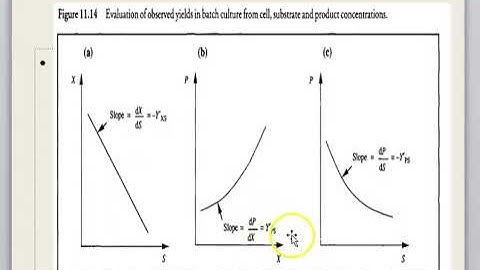 CHE505 Week 5 Lecture 1.8 Topic 5 Bioreactor Engineering