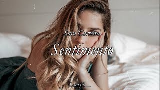 Miniatura del video "Sara Carreira 🕊️🌟 - Sentimento (Letra)"