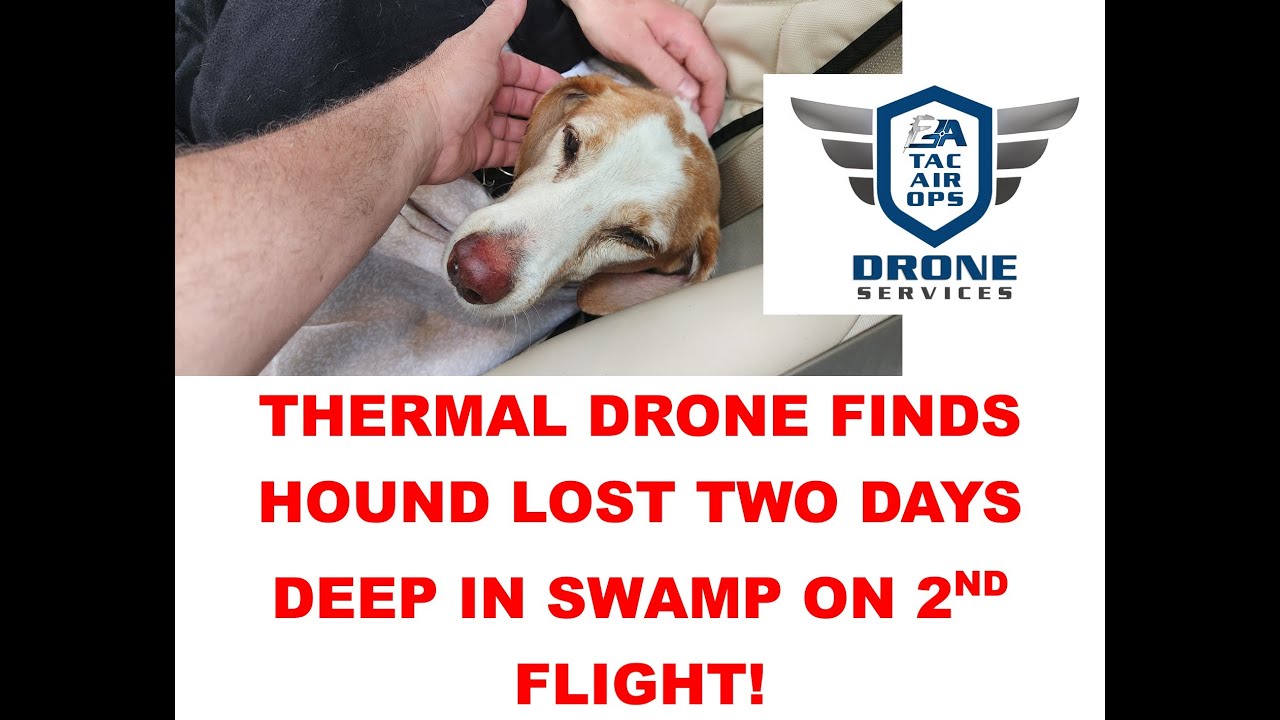 Thermal Drone Locates Dog in swamp Lost two days on second flight! D J ...
