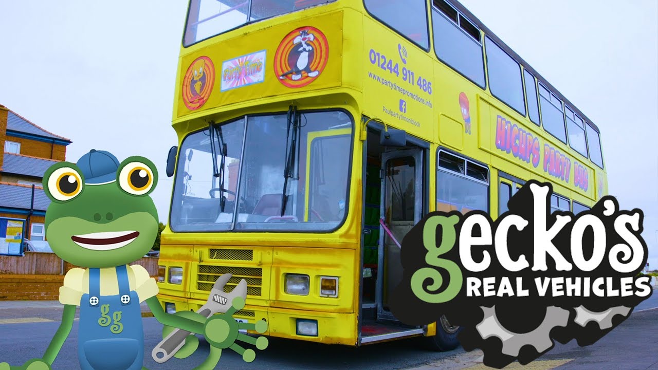 gecko bus tours