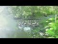 طــــــــلال مــــــــداح موال بي مثـــل مابـــك ياقمـــرية الواداي