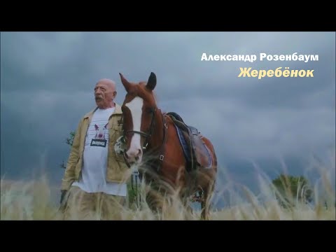 Видео: Александр Розенбаум - Жеребёнок