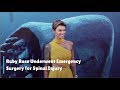 Ruby Rose Reveals She Recently Underwent Emergency Spinal Surgery