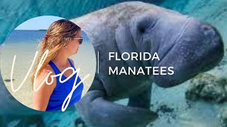 Crystal River Florida Manatees/Sea Cows and Pier Fishing OH MY! by Freedom Tour 273 views 2 years ago 10 minutes, 29 seconds