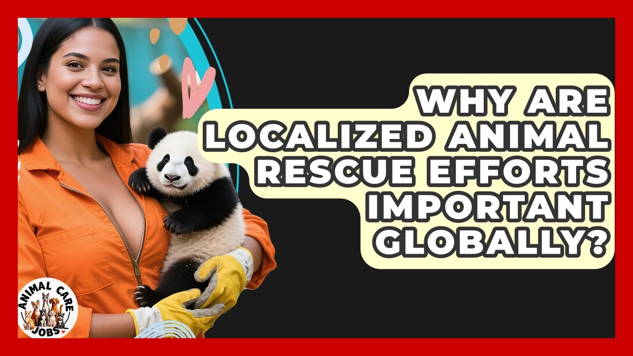 Why Are Localized Animal Rescue Efforts Important Globally? - Animal Care Jobs