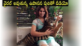 Ram Charan's wife Upasana Kamineni Feeds Tiger Cub | Upasana Kamineni Viral Video | Telugu Ticket