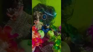 jab se chale nihari Shri Vrindavan Bihari