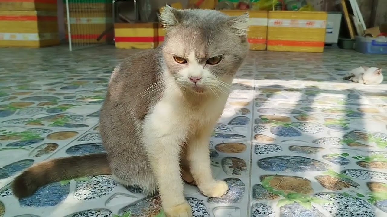 Serene Early Morning At  Our Home Sanctuary