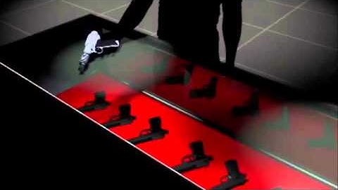 National Instant Criminal Background Check System Overview