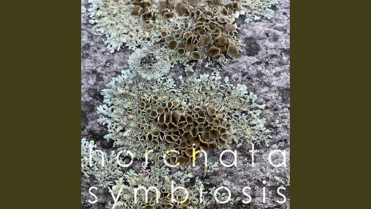 Watch competition on YouTube Watch competition on YouTube