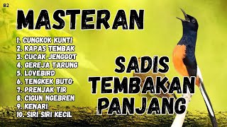 🔴 GACOR SADIS MENTAL KUAT MASTERAN MURAI BATU GACOR
