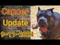 Dog Osteosarcoma Cancer update.