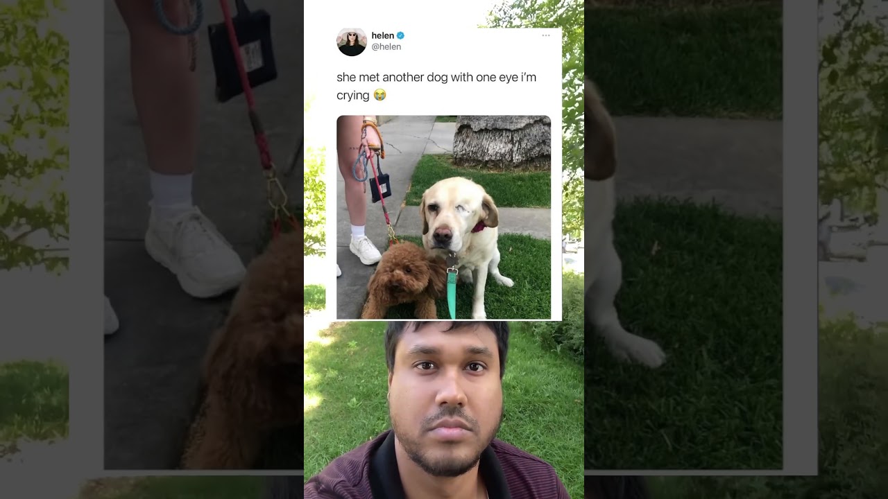 She met another dog with one eye I’m crying 