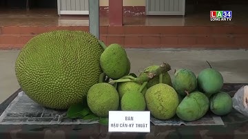 Tổng kết 10 năm thực hiện Nghị quyết 513 và Nghị quyết 623