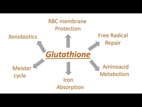 Glutathione | Tripeptide | Protein series