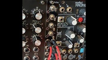 BEST FRIENDS: Mimetic Digitalis & DivKid Mutes!