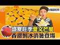 《台灣超經典》【台灣第一株  愛文芒果樹在台南 / 台南下雪? 白雪鹽雕超吸睛 / 辣妹當家 南台灣廟會天團】 台灣第一等