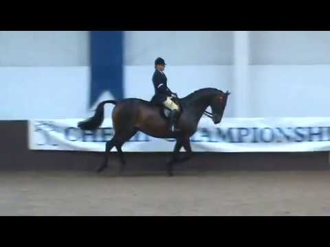 Zoe Whittle - Cherif Championship - Zoes Show