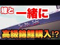 【嫁と一緒に買いに行く！】予算50,000円で錦鯉購入！谷養魚場へ行ってきた！ #錦鯉 #koi #nishikigoi