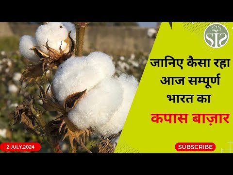 जानें आज कैसे रहे कपास बाजार के भाव🤔। cotton market rate today🤔 #Kapas #smartinfo #bulletin #cotton
