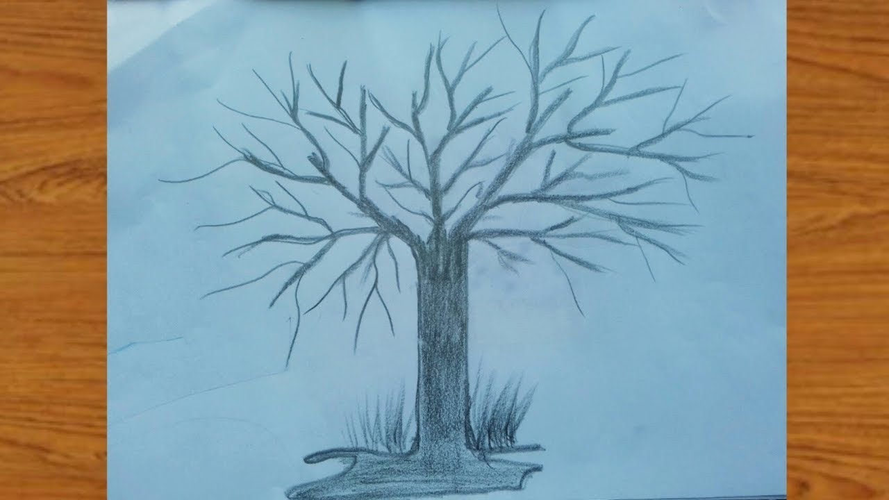 How to Draw A Tree without leaves | Winter Tree Sketch | Easy Drawing ...