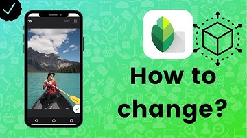 How to change the perspective in Snapseed?