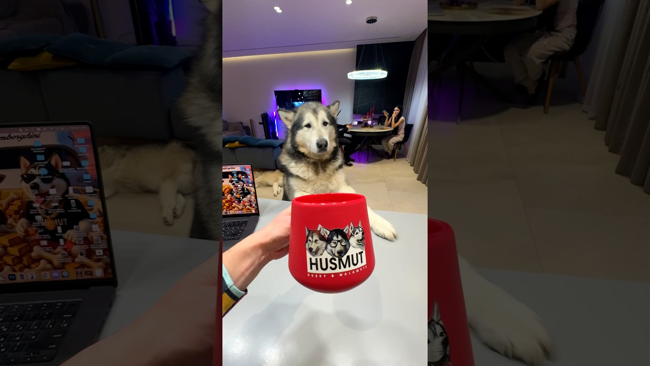 Впервые Вижу Чашку для Левши 😳