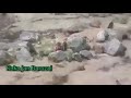 منظر يعطيك ان الحياه تستمررغم المحن والعواصف والسيول ولو اجتمعت عليك كل بلاء العالم وانت تتمسك بالله