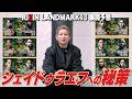 シェイドゥラエフに勝つ方法とは【RIZIN LANDMARK13予想】