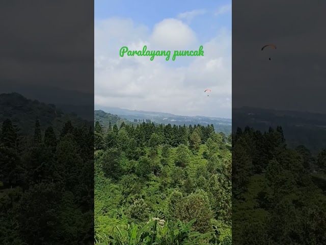 paralayang puncak class=