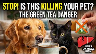 Green Tea For Dogs & Cats Is It Safe? The Truth About Egcg