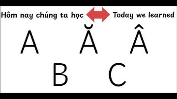 📑Learn Vietnamese Alphabet (A, Ă, Â, B, C) | Học Bảng Chữ Cái Tiếng Việt Cho Người Mới Bắt Đầu.